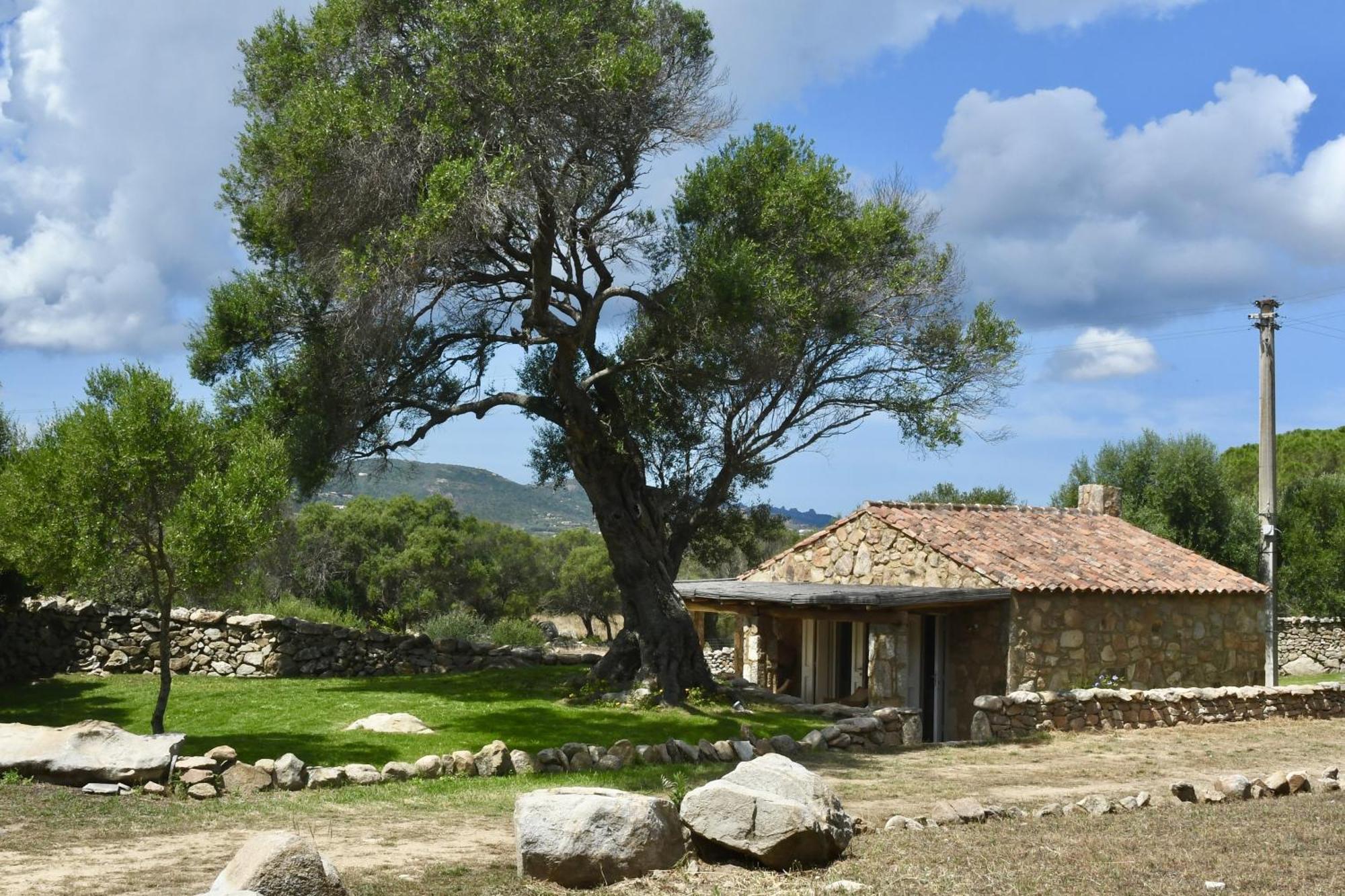 Petra D'Arana Villa Palau Eksteriør bilde